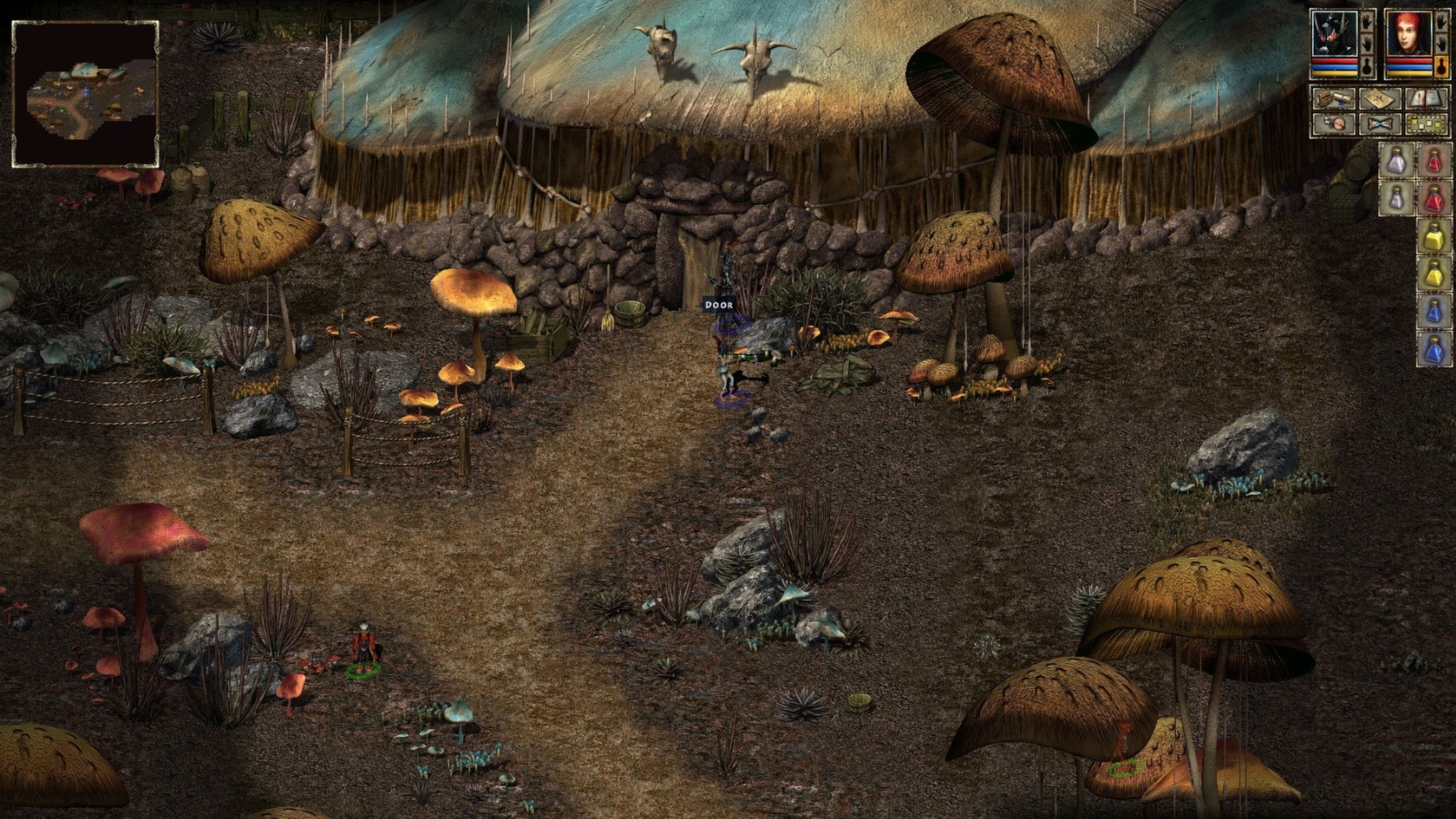 Beyond Divinity — бесплатный аккаунт Steam