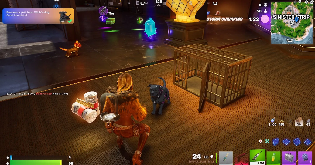Скины компаньонов в Fortnite