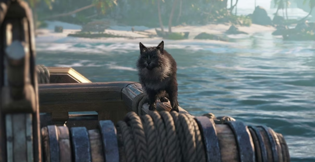 Обезьяна в подарок за покупку Assassin’s Creed Black Flag Resynced: как получить и стоит ли вообще возиться с кодом — изображение 2