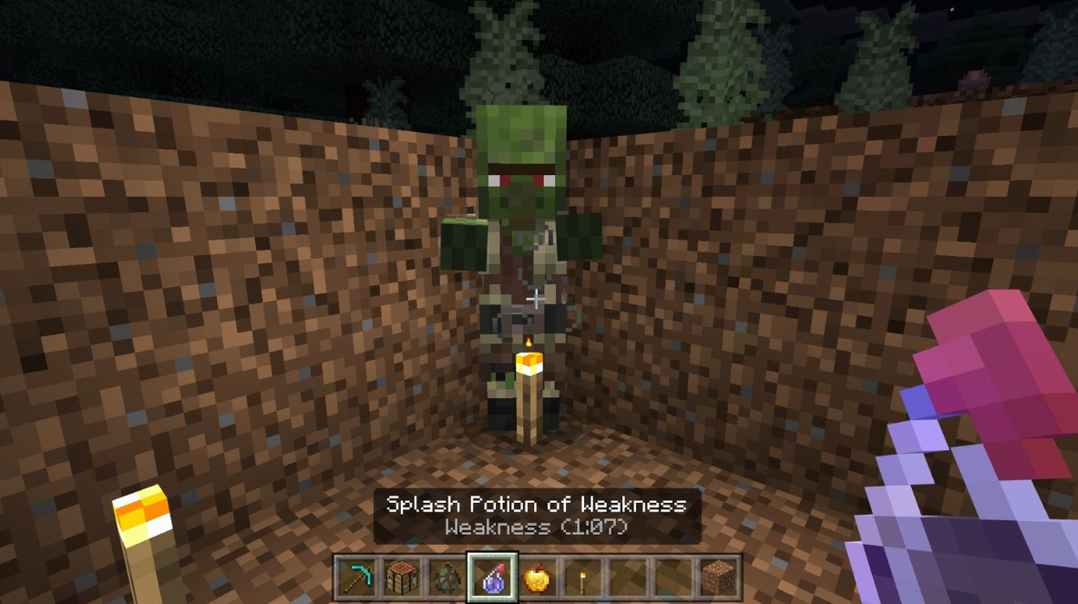 Лечение зомби-жителя в Minecraft